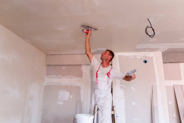 Best Ceiling Drywall Installation  in Saddle Rock, NY